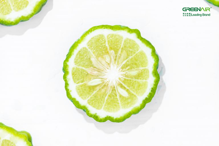 1567649232222090.jpg 微信图片_20190905100620.jpg